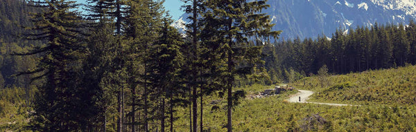 A mountain terrain with a RadRover 6 Plus rider in the distance.