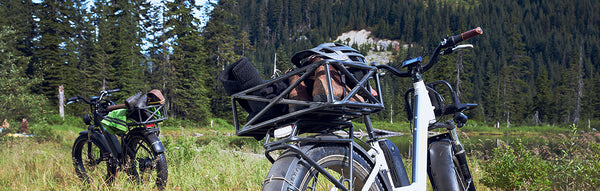 Electric bikes from Rad Power Bikes seen in a green meadow below a mountain.