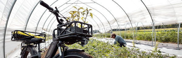 A woman gardens alongside a RadRover 6 Plus electric bike.