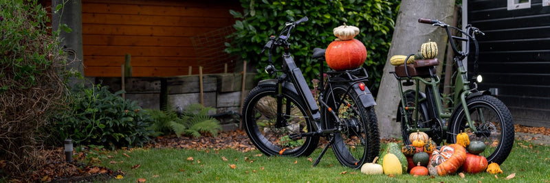 A RadRover 6 Plus and RadRunner 2 in a backyard during the fall. Multi-color pumpkins surround them and are placed on their saddle.