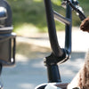 Introducing Rad Pets: Accessories for the Fur Friends in your Life