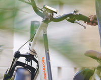 A close-up of the RadRover Step-Thru alongside a pair of plants.