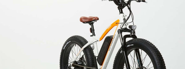 RadRover Electric Fat Bike