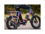 RadRunner™ Plus Electric Cargo Utility Bike