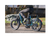 RadRunner™ Plus Electric Cargo Utility Bike