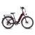 RadCity electric commuter bike in burgundy red