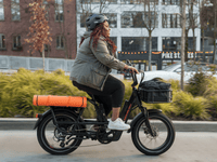 Rad Power Bikes