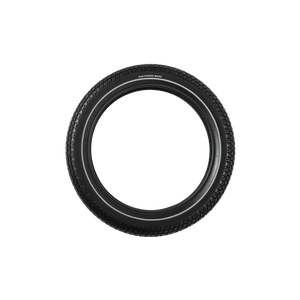 RadWagon 5 Tire - 20