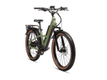 Radster™ Trail Electric Off-Road Bike
