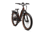 Radster™ Trail Electric Off-Road Bike