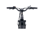 RadRover™ 6 Plus Electric Fat Tire Bike
