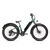 Side view of a green RadRover 6 Plus step-thru electric fat tire bike