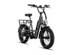 RadRunner™ 3 Plus Electric Utility Bike