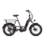 Charcoal-colored Radrunner 3 Plus electric utility bike