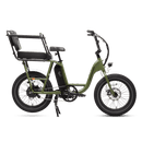 RadRunner Caboose and Passenger Package installed on a RadRunner 3 Plus electric utility bike