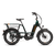 Right side of a deep emerald green RadRunner cargo utility ebike on a white background.