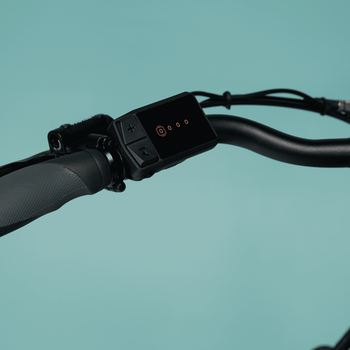 Keep your ebike yours.