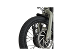 RadTrike™ Electric Tricycle