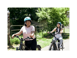 RadRover™ 6 Plus Electric Fat Tire Bike