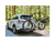 RadRover™ 6 Plus Electric Fat Tire Bike