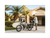 RadWagon™ 4 Electric Cargo Bike