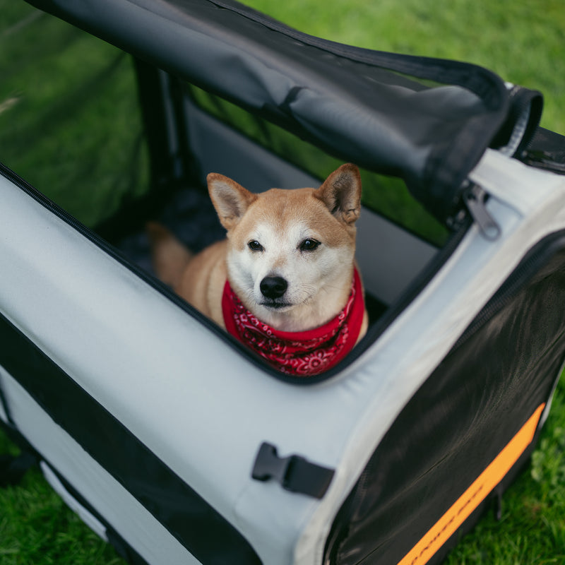 Rad Trailer Pet Insert on the grass with a dog inside, showing how the top panel unzips.