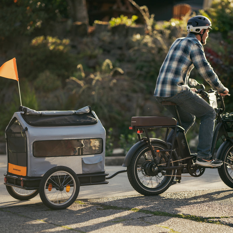 Rad pet insert on a Rad Trailer attached to an electric cargo bike. 