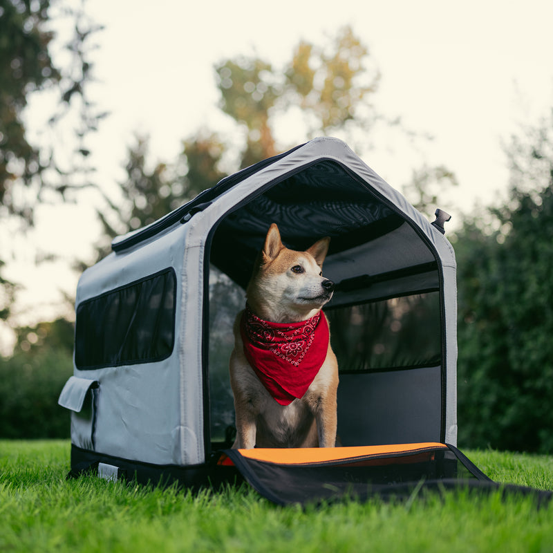 Rad Trailer Pet Insert on the grass in a park with a dog inside, with the back panel unzipped.